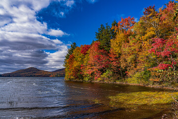 The lake shore is brightened by Autumn colors