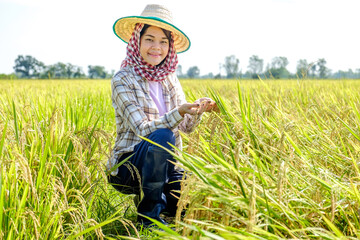 Naklejka na ściany i meble Asian woman farmer wearing traditional turban sitting and watching the rice plants ready to be harvested With a smiling face in the middle of the field