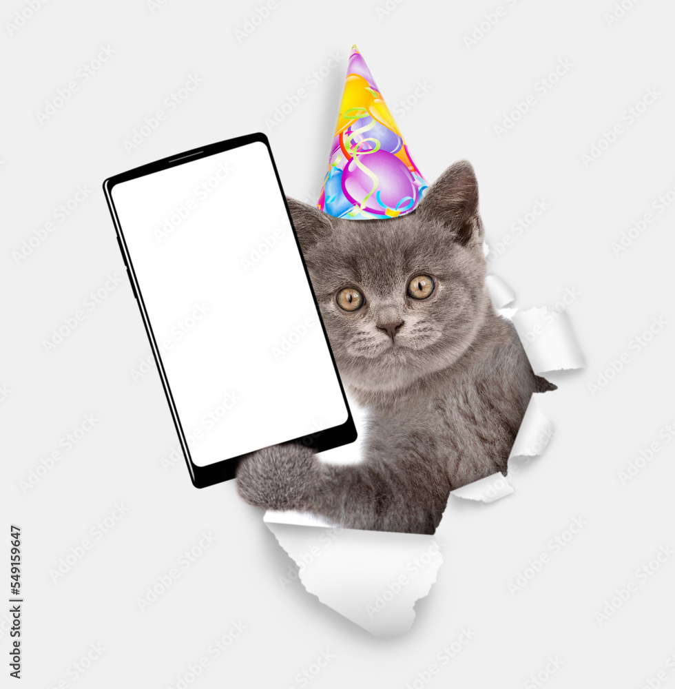 Aufkleber cute kitten wearing party cap holds smartphone with white blank screen in it paw through torn white 