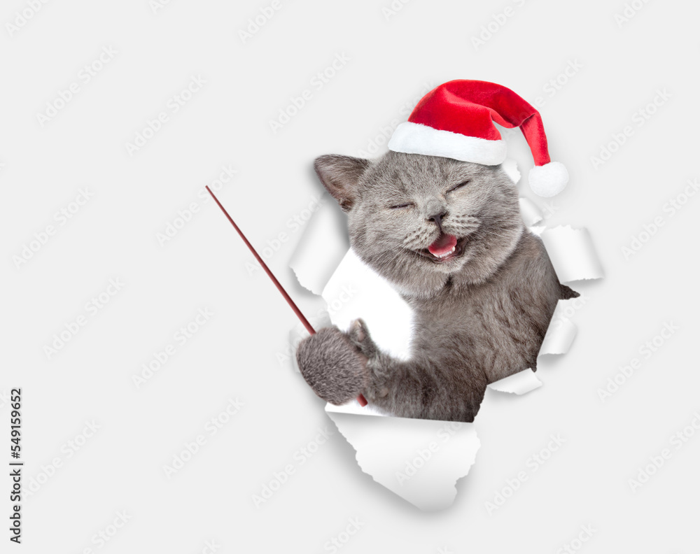 Poster happy kitten wearing red santa hat looking through the hole in yellow paper and pointing away on emp