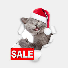 Happy kitten wearing red santa hat looking through the hole in white paper and showing signboard with labeled "sale"