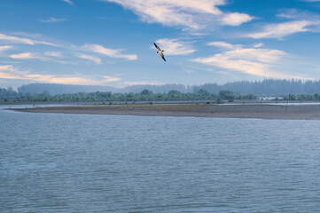 The beautiful water of the river and the surrounding mountains and forests. Birds are flying in the sky. natural scenery