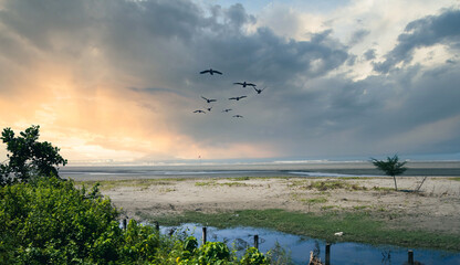 Obraz premium The vast sea is visible, birds are flying in the sky, the sun is setting.