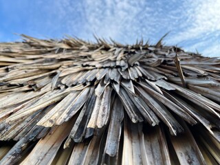 Traditional roof of a hut. Made from many layer of sago tree leaves so it can protect us against the weather.