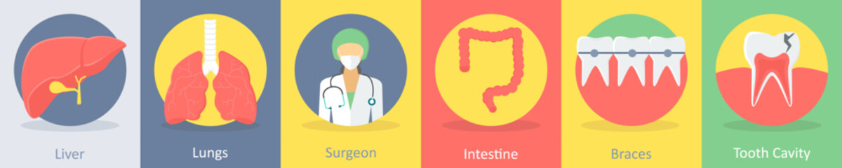 liver, lungs, surgeon, doctor