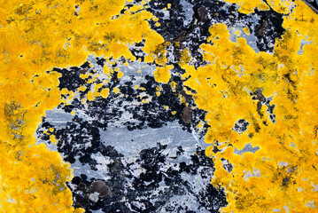 Abstract colourful background made by nature, close up images of nature in Patagonia, Argentina