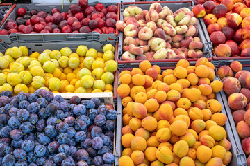 Plums and peaches for sale at a market