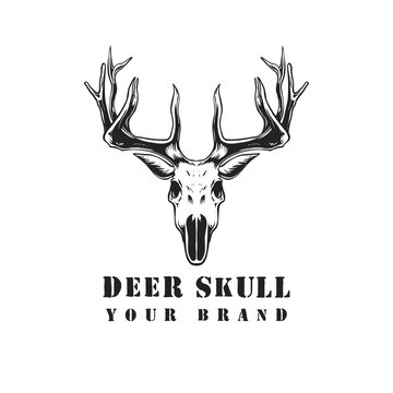 deer skull logo vintage