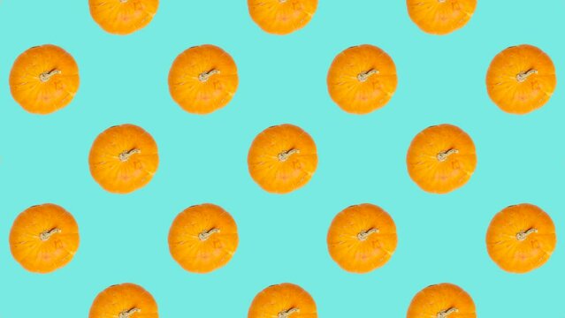 Orange pumpkins in grid in seamless loop pattern on a blue background. Orange vegetables in seamless loop harvest animation. Endless food motion graphic background