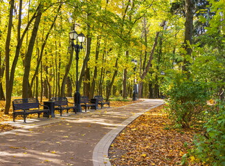 Autumn day in the park. Gold autumn.