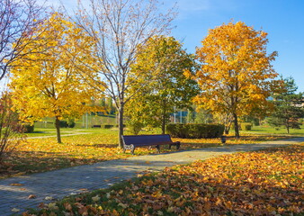 Autumn day in the park. Gold autumn.