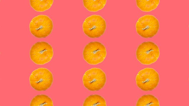 Orange pumpkins in grid in seamless loop pattern on a pink background. Orange vegetables in seamless loop harvest animation. Endless food motion graphic background