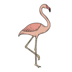 Flamingo hand drawn doodle vector illustration