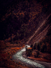 Autumn colors in Chitkul, India