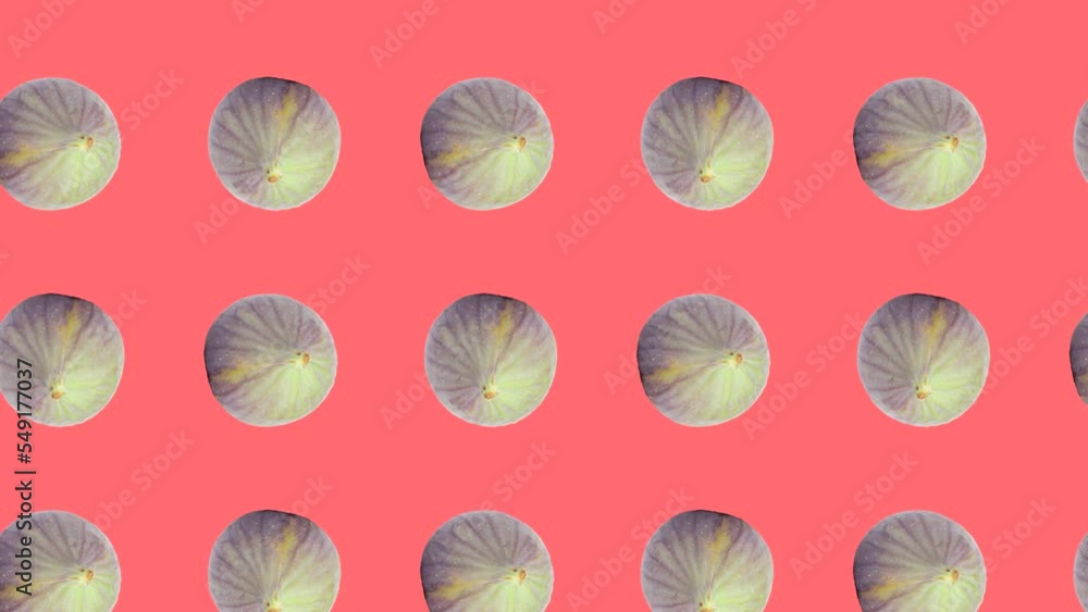 Poster figs in animated grid seamless loop pattern on a coral background. abstract background with fresh fr