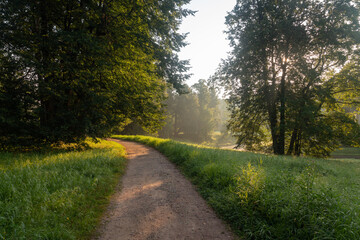 View of the alley in Pavlovsky Park on a sunny foggy summer morning, Pavlovsk, St. Petersburg, Russia