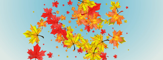 Fototapeta na wymiar Orange Floral Background Blue Vector. Leaves Seasonal Frame. Colorful Abstract Foliage. Beautiful Leaf Card.