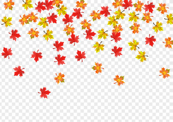 Green Leaf Background Transparent Vector. Leaves Beautiful Template. Brown Design Foliage. Season Plant Frame.