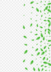 Green Greenery Background Transparent Vector. Foliage Twig Illustration. Figure Design. Greenish Organic Texture. Sheet Flavor.