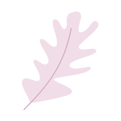 Oak leaf in trendy illustration design