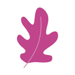 Obraz premium Oak leaf in trendy illustration design