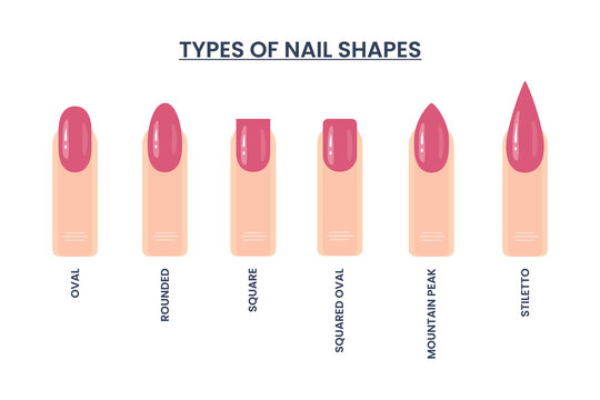 Most Popular Forms Nails Different Types Stock Vector (Royalty Free)  1777517447 | Shutterstock