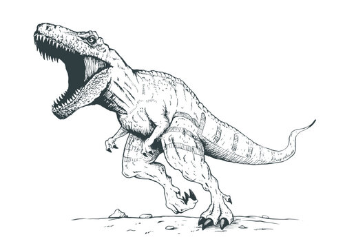 Tyrannosaurus rex dinosaur running - Stock Image - E446/0614 - Science  Photo Library