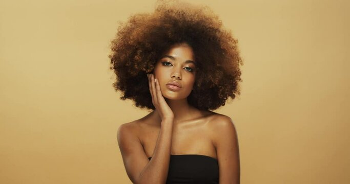 Beauty portrait of african woman with beautiful curly brown hair, afro hairstyle, hands on face with perfect skin, isolated on beige background