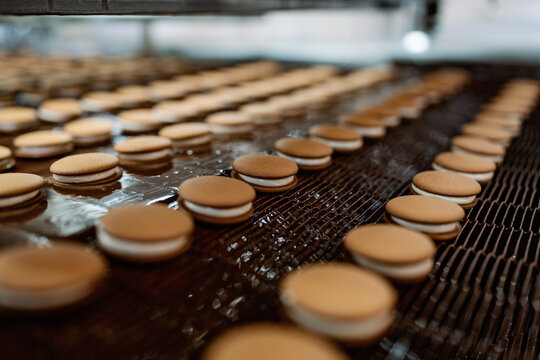 Huge factory line for sweet food and cookies production. Close up shots of industrial chocolate glazing process.