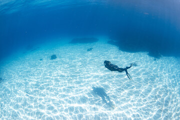 Obraz premium Women having fun underwater snorkeling in shallow clear waters with sunrays in the ocean