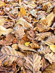 Vertical bright electric impression of autumn leaves on the ground