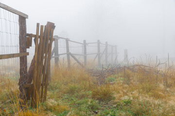 Mystischer Nebelwald im Lausitzer Gebirge 7