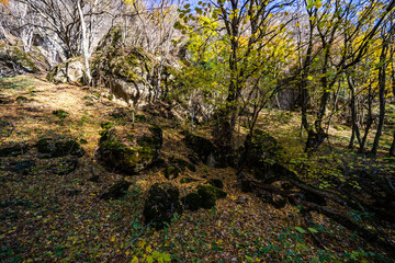 Fototapeta premium Autumnal landscape of Birtvisi canyon