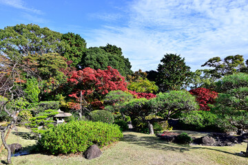 Autumn leaves in the Japanese garden of Suma Rikyu Park