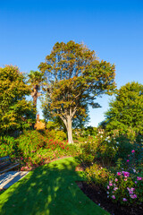 Views of the botanical garden in Christchurch