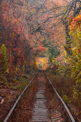 Fototapeta premium railroad in autumn 