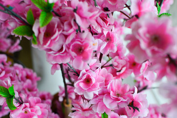 flowers are pink flowers beautiful by nature