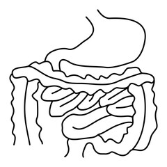 Digestive system with stomach and intestines. Modern minimal black thin line vector icon isolated on transparent background. Line thickness editable