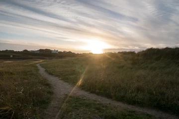 Cercles muraux Mer du Nord, Pays-Bas Coucher de soleil sur l& 39 herbe de la plage. Scène en plein air de côte dans la nature de l& 39 Irlande à Laytown, Co Meath