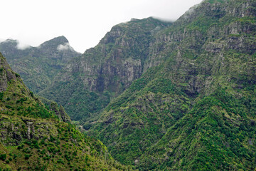 green landscape with the mountains of madeira