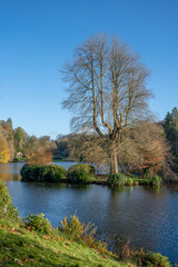 autumn afternoon sunshine illuminates woodland and the island in the lake, Stourhead estate Wiltshire UK