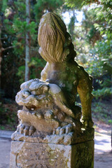 Obraz premium 白兎神社・はくとじんじゃ（鳥取県・鳥取市）