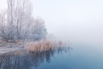 Obraz na płótnie Canvas Foggy dawn scenery. Amazing white rime on the tree branches and dry reeds with reflection in the still water on the dreamy lake on the autumn frosty morning.