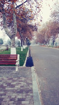 Uzbekistan. Park