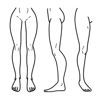 Vector Cartoon outline, Front and side view, lower body of male anatomy standing. Hand drawn linear sketchy. You can use this image for fashion design and etc.