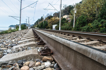 railroad tracks in the forest