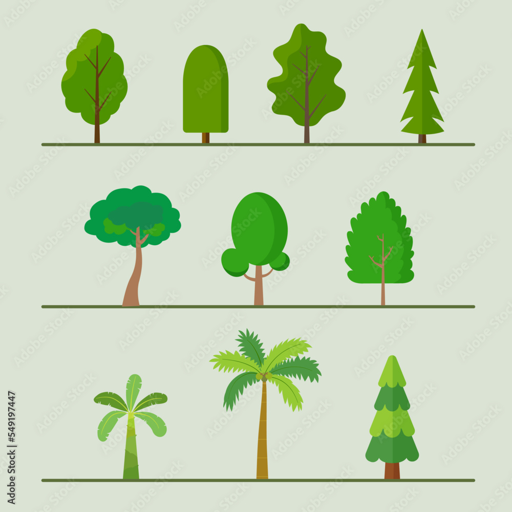 Poster trees flat vector set.plants element collection.tropical nature object.palm tree, banana tree and pi