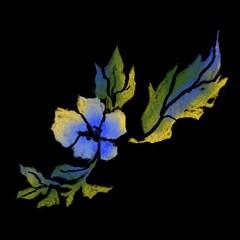 colored flowers on a black background