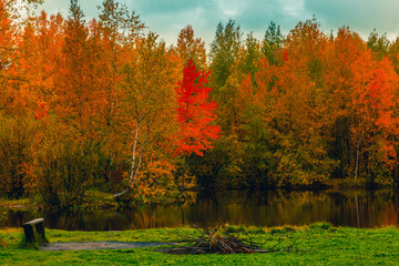 Autumn landscape near a forest lake covered with grass - 549201076