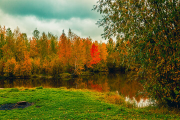 Autumn landscape near a forest lake covered with grass - 549201292